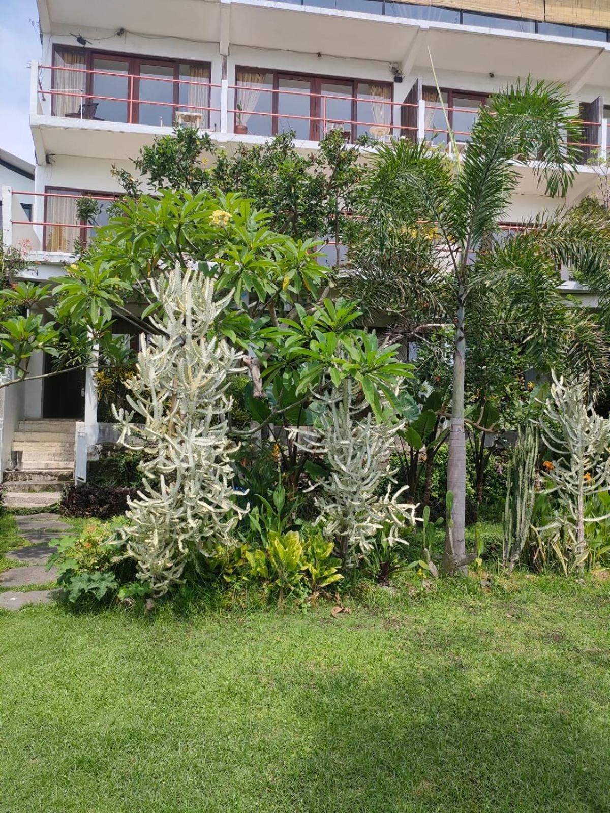 Villa Lotus 8 캉구 외부 사진