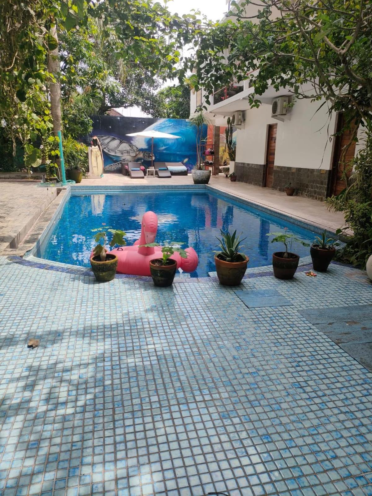 Villa Lotus 8 캉구 외부 사진