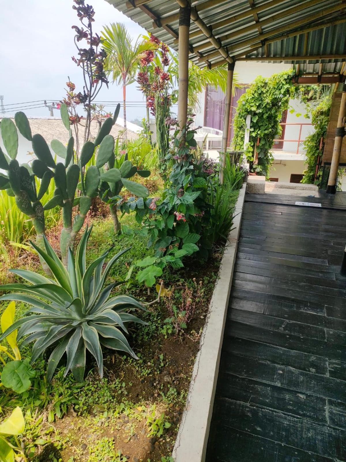 Villa Lotus 8 캉구 외부 사진