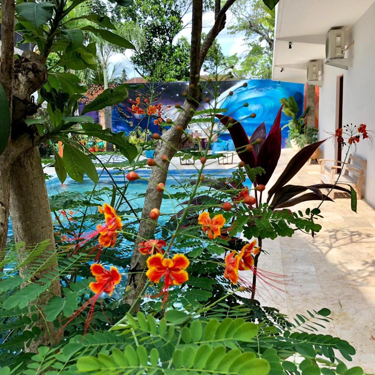 Villa Lotus 8 캉구 외부 사진